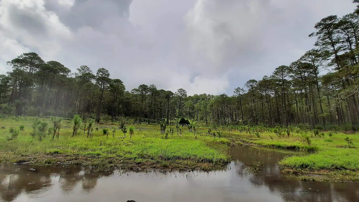 llanos tepoxtepec2